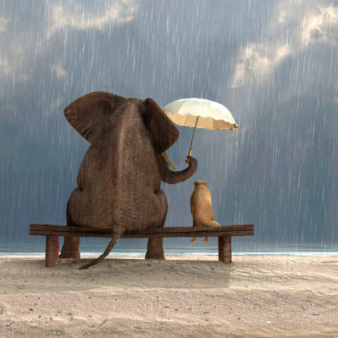 Buone pratiche di comunicazione in condominio